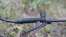 Опрыскиватель аккумуляторный Greenworks G40BPSK2 (1хАКБ 2 Ач и ЗУ)