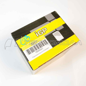 Поршневая группа CS-350WES, IGP, аналог P021009250 цилиндр + P021009230 поршень
