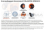 Снегоуборочник VILLARTEC WB5561E