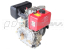 Двигатель LIFAN Diesel 186FD D25 00-00000604