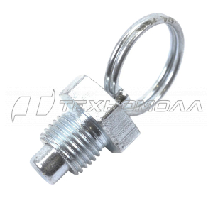 Болт стопорный муфты штанги T256,333,523, CHAMPION