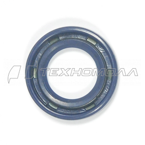 Сальник Штиль 180-250, 280, 15х25х5 2шт. CHAMPION, аналог 96390031585