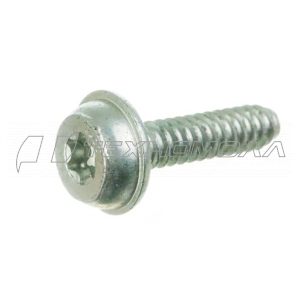 Винт Штиль IS D5x20, FS45/55 00009511100 FARMERTEC