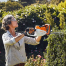 Ак. мотоножницы Stihl НSA 56, 450 мм/18''