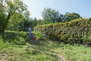 Триммер эл. Штиль FSE 81 1000 Вт 4,9 кг Триммер эл. Штиль FSE 81 1000 Вт 4,9 кг