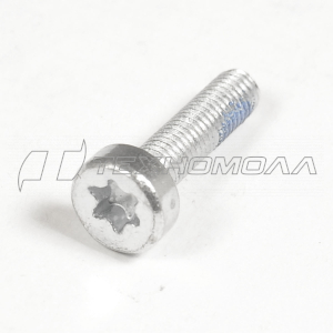 Винт Штиль крышки стартера 170,180 IS D5*24 Китай