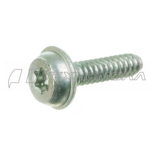 Винт Штиль IS D5x20, FS45/55 00009511100 FARMERTEC