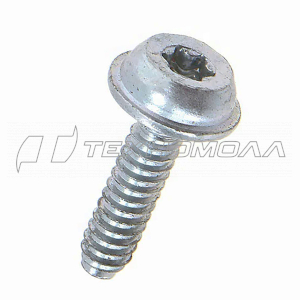 Винт Штиль IS D5x20, FS45/55 00009511100 FARMERTEC