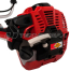 Бензиновый триммер DDE GBS5200R