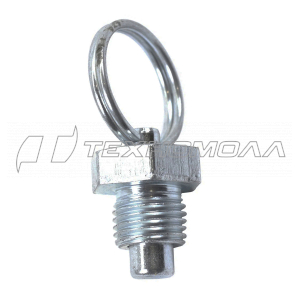 Болт стопорный муфты штанги T256,333,523, CHAMPION